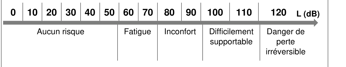 Échelle des niveaux d'intensité sonore de 0 à 120 dB : aucun risque jusqu'à ~55 dB, fatigue ~55-75, inconfort ~75-95, difficilement supportable ~95-115, danger de perte irréversible au-delà.