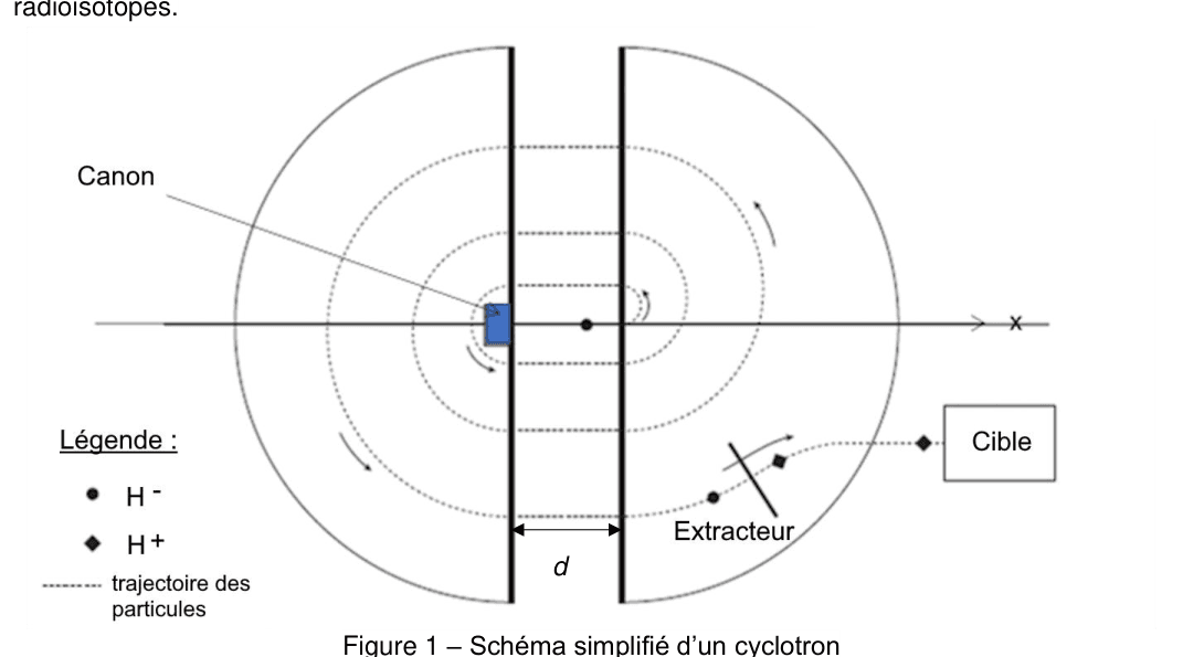 Schéma simplifié du cyclotron : canon, trajectoires spiralées des ions H⁻, extracteur et cible