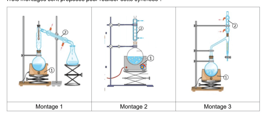 Trois montages proposés pour l'estérification : Montage 1 (distillation), Montage 2 (reflux avec bain d'eau thermostaté), Montage 3 (reflux à air)