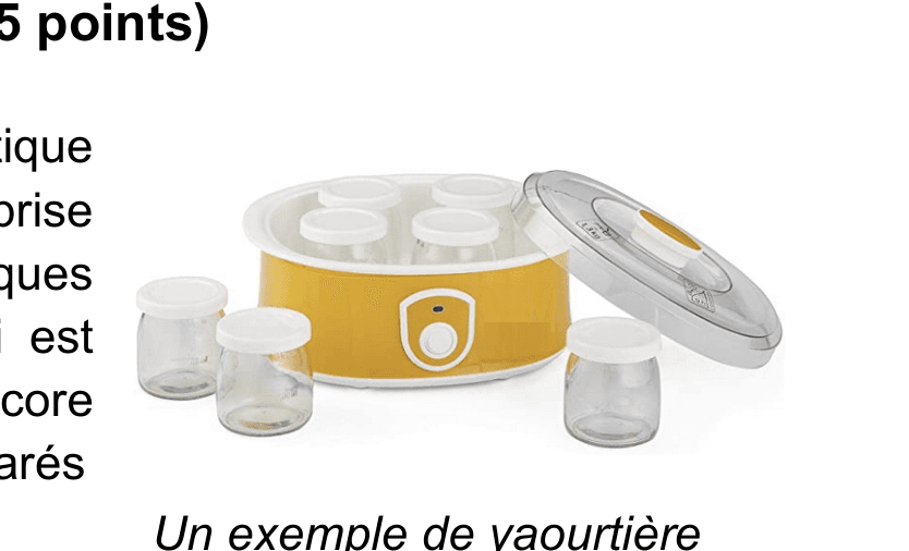 Photo d'une yaourtière électrique avec ses pots