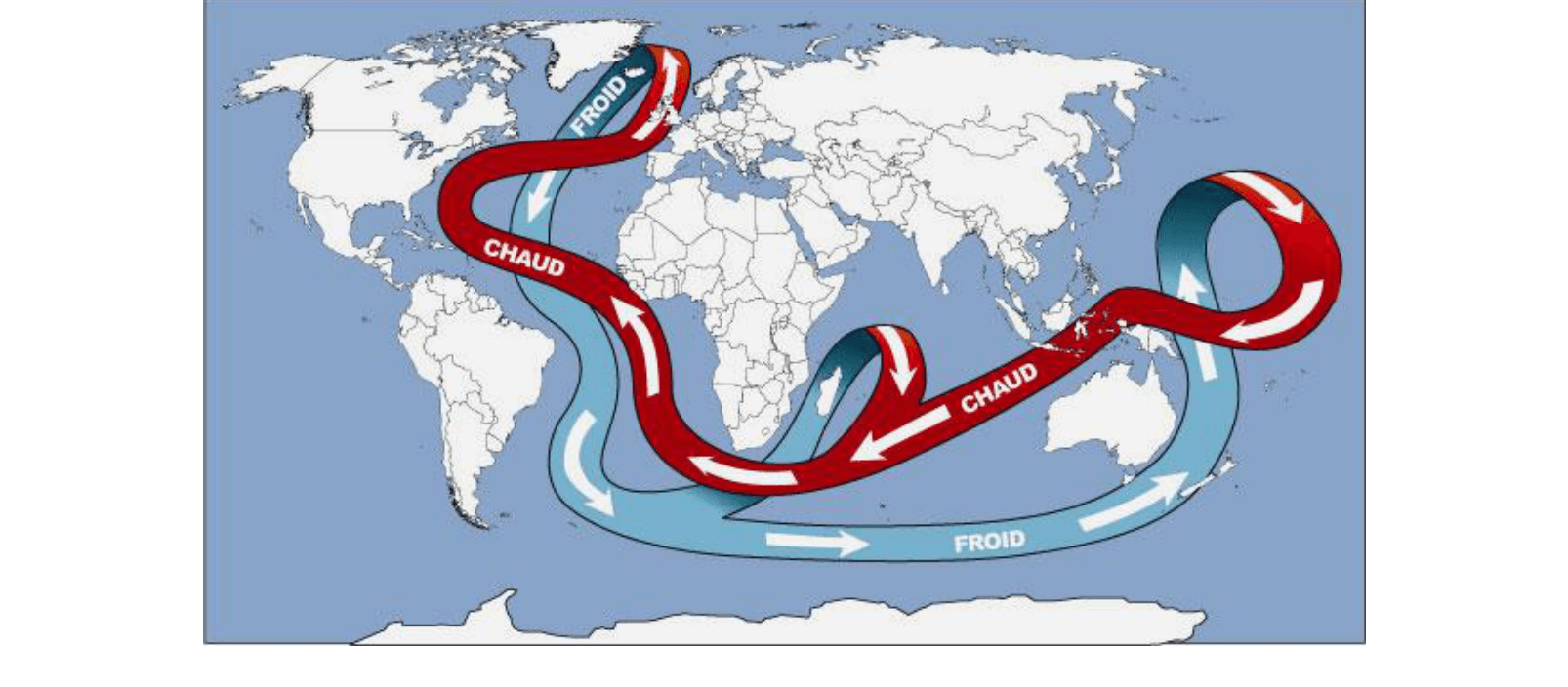Carte schématique de la circulation thermohaline mondiale : courants chauds de surface et courants froids profonds