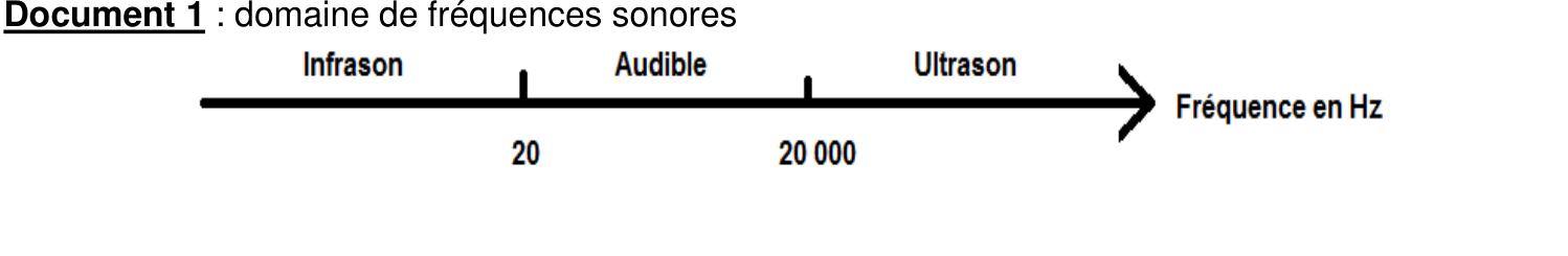 Échelle des fréquences sonores : infrasons (< 20 Hz), audibles (20 Hz à 20 kHz), ultrasons (> 20 kHz)