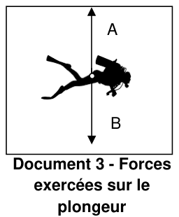 Schéma du plongeur avec deux segments fléchés A (vers le haut) et B (vers le bas) représentant les forces