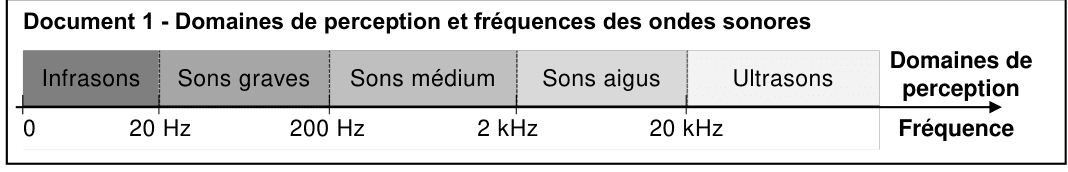 Échelle des domaines de perception sonore : infrasons (0-20 Hz), graves (20-200 Hz), médium (200-2000 Hz), aigus (2-20 kHz), ultrasons (> 20 kHz)