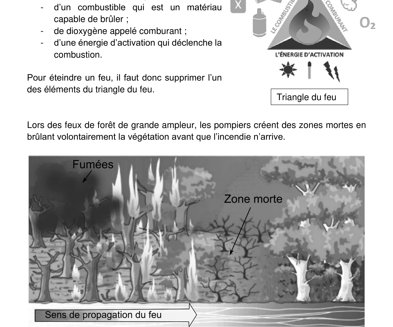 Triangle du feu : combustible, comburant (dioxygène), énergie d'activation