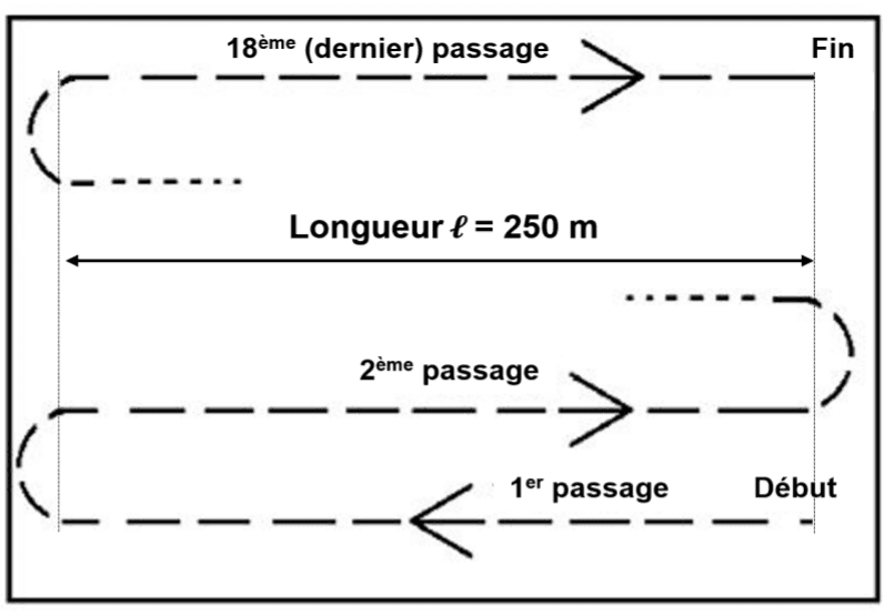 Document 3 : vue de dessus du parcours du tracteur dans le champ. Le trajet est tracé en pointillés : des allers-retours parallèles reliés par des demi-tours en bout de champ. Sont repérés le début, le 1ᵉʳ passage, le 2ᵉ passage, le 18ᵉ et dernier passage, et la fin. Une double flèche indique la longueur ℓ = 250 m d'un passage.