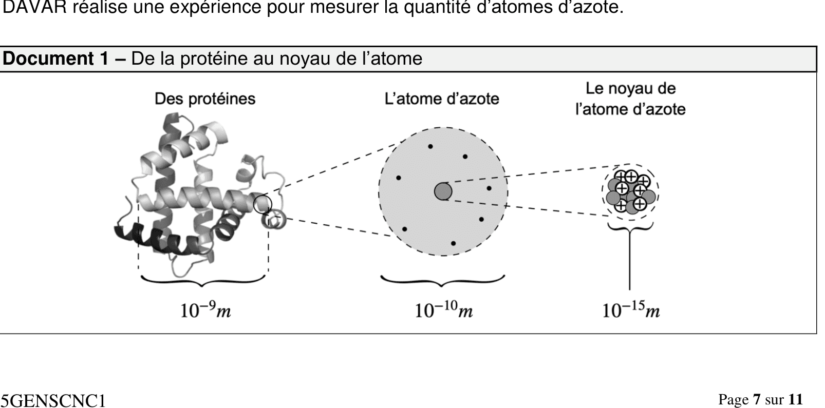 Document, De la protéine au noyau de l'atome : structure