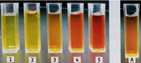 Cinq cuves de diiode 1 à 5 (jaune pâle à rouge foncé) et cuve A inconnue à droite.