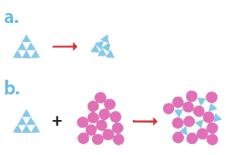 Deux modèles microscopiques notés (a) et (b)